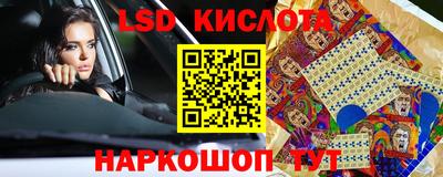стаф Донской