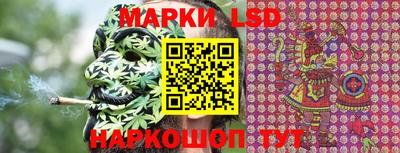стаф Донской