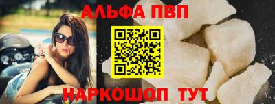 стаф Донской