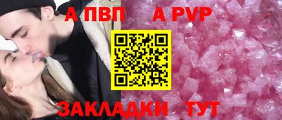 стаф Донской