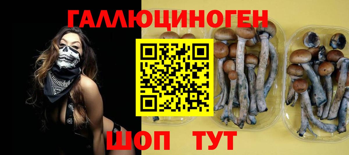хочу наркоту  Вход с VPN  Ливны  Галлюциногенные грибы Psilocybine cubensis 